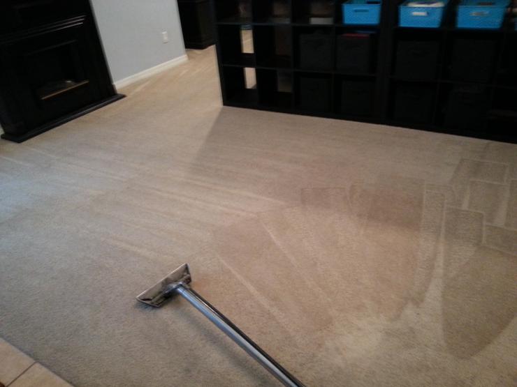 Carpet Cleaner