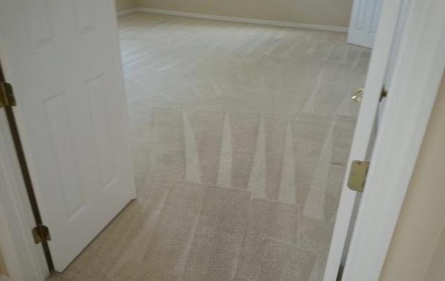 Carpet Cleaner