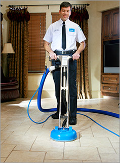 Carpet Cleaning